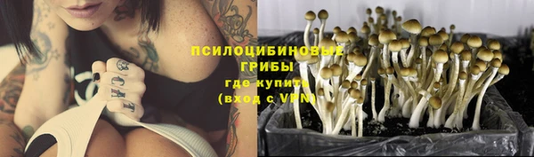 гашик Нязепетровск