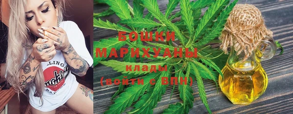 мет Няндома