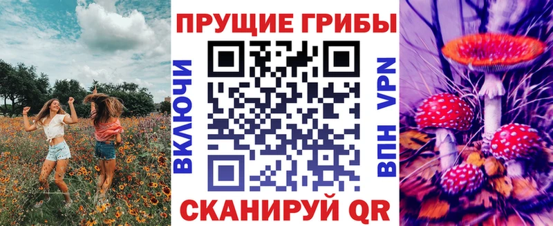 Купить  Шелехов  Псилоцибиновые грибы прущие грибы 