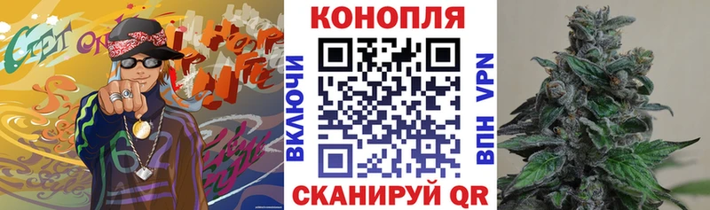 МАРИХУАНА план  Купить  Шелехов 